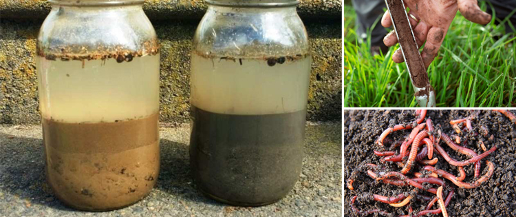 How to Prepare Your Soil For Your Spring Garden