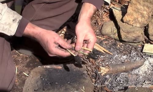 16 Uses Of Sticky Sap For Wilderness Survival And Self-Reliance