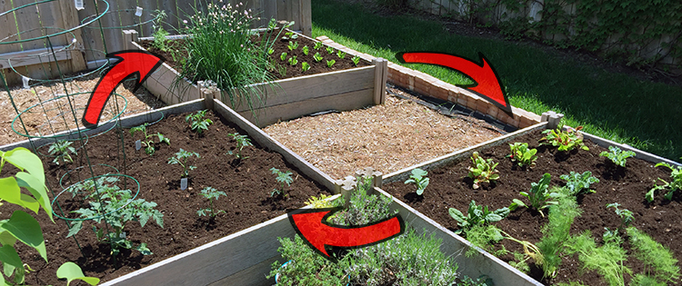 Everything You Need To Know About Crop Rotation (And Why You Should Do It)