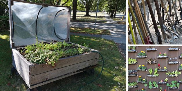 Survival Garden: Ingenious Ways To Grow Yours Almost For Free