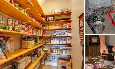 How To Make A Great Depression Pantry