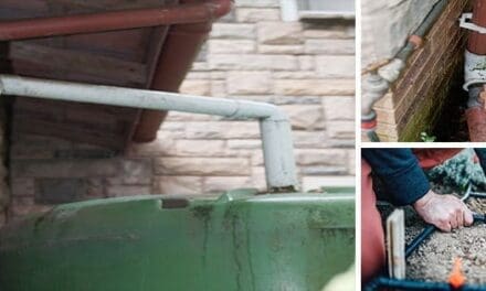 Rainwater Tank That Irrigates A Small Herb Garden