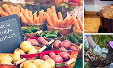 10 Ideas For A Backyard Business