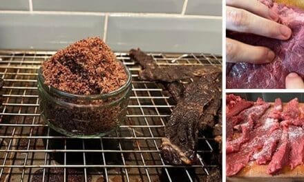 Making Machaca – Mexican Pemmican (Shelf Stable Meat)