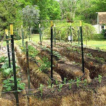 Straw Bale Gardening Mistakes - Self Sufficient Projects