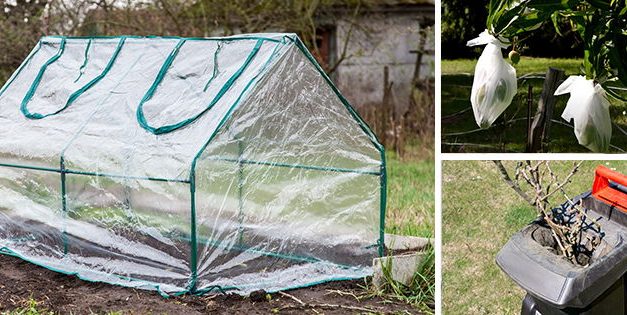 8 Garden Products That I Wasted My Money On