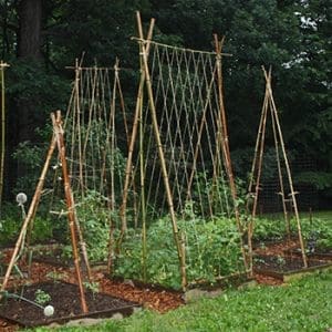 How to Grow Vegetables in Small Spaces - Self Sufficient Projects