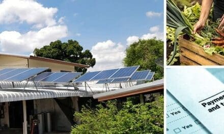 This Is Why The Government Doesn’t Want You To Be Self-Sufficient