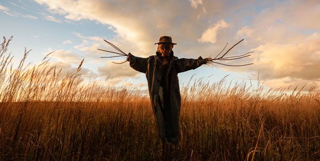 How To Build The Cheapest Scarecrow
