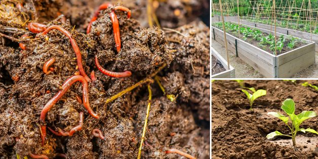 How To Fix Clay Or Sandy Garden Soil