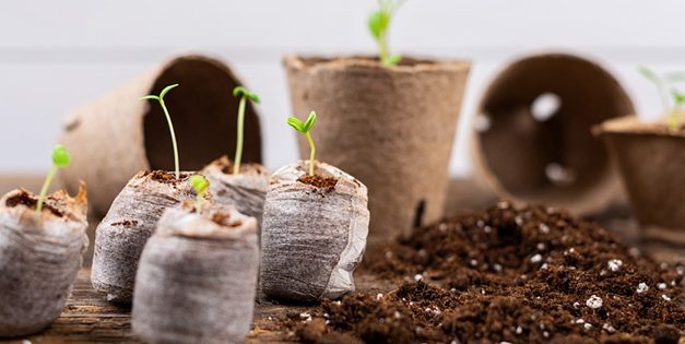 DIY Seed Starter Pots