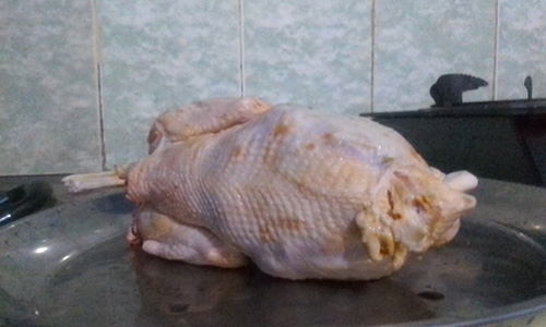 butchering chicken