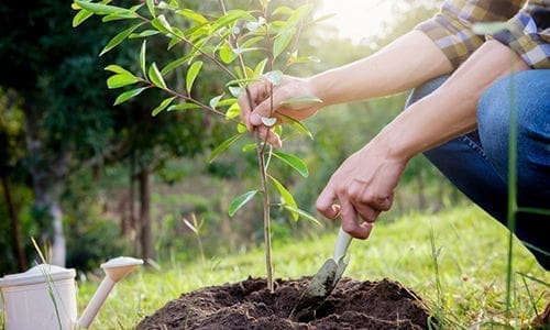 stop doing this to your soil