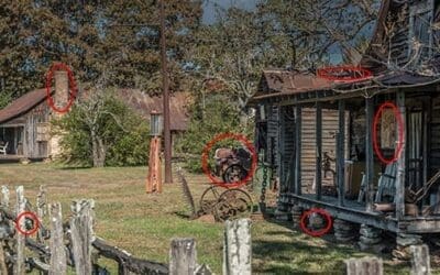 Homesteading To Do’s: November
