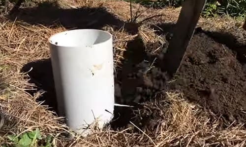 worm compost tower