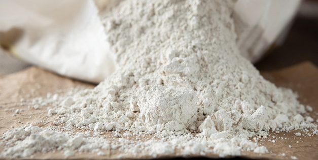 This Is Why You Should Have Diatomaceous Earth Around Your Property
