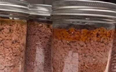 Cow In A Jar