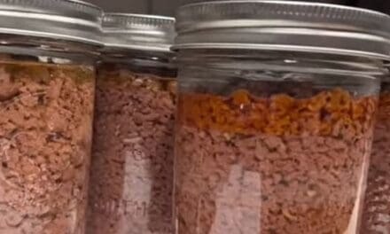 Cow In A Jar