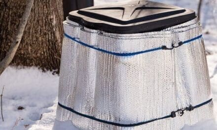 DIY Backyard Projects You Need To Get Done By Spring