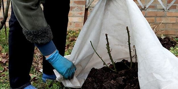 How To Prepare Your Spring Garden Starting This Winter
