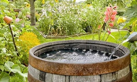 100-Year-Old Way To Filter Rainwater In A Barrel