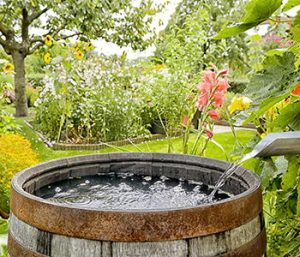 100-Year-Old Way To Filter Rainwater In A Barrel - Self Sufficient Projects