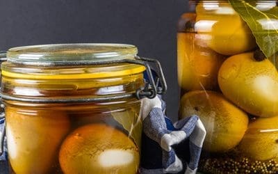 20 Ways To Preserve Eggs