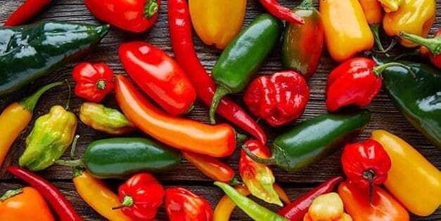 Peppers