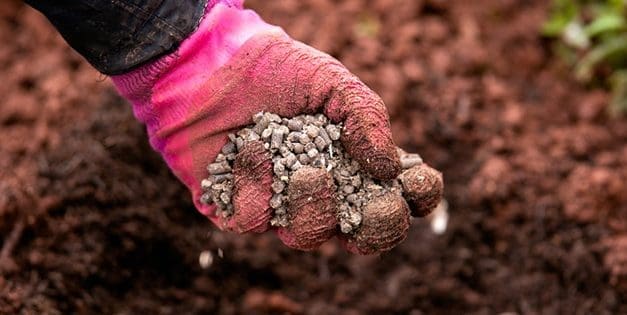 What Happens If You Bury These In Your Garden