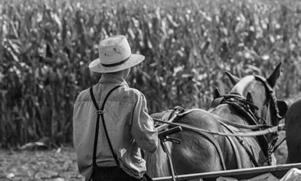 Amish Lessons That Prepare You For Living Off The Grid