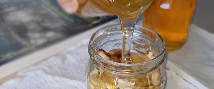 how-to-preserve-foods-in-honey-self-sufficient-projects