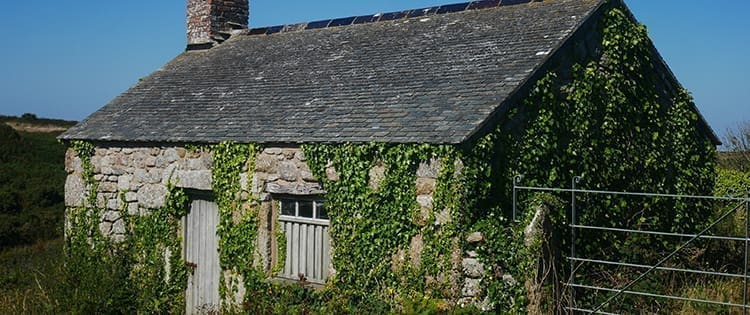 This Is The Best Camouflage For Your Off The Grid House