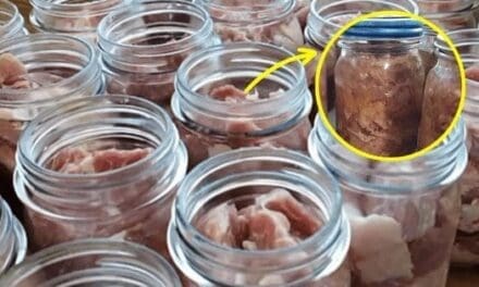 Pig In A Jar