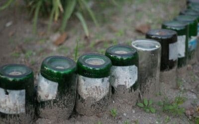 Why You Should Bury Glass Bottles In Your Garden