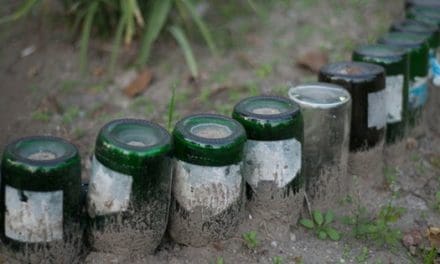 Why You Should Bury Glass Bottles In Your Garden