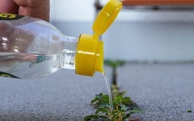 Can Vinegar Go Bad?