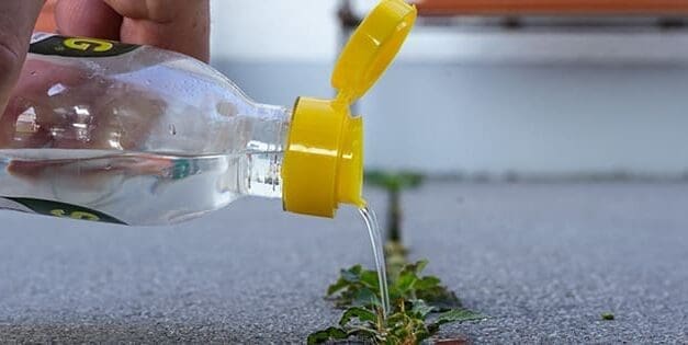 Can Vinegar Go Bad?