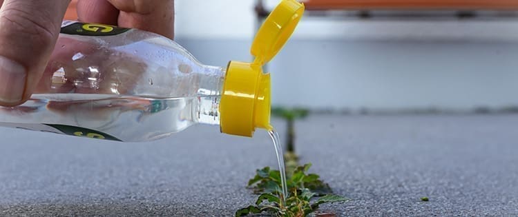 Can Vinegar Go Bad?