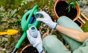 This Is Why You Should Use Hydrogen Peroxide In Your Garden - Self ...