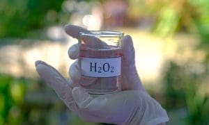 This Is Why You Should Use Hydrogen Peroxide In Your Garden - Self ...