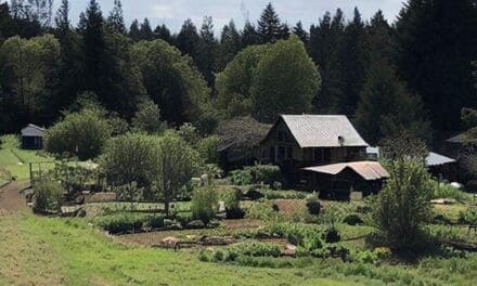 These 10 Types Of People Wouldn’t Last A Day Off Grid