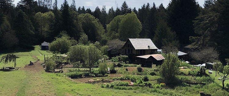 These 10 Types Of People Wouldn’t Last A Day Off Grid