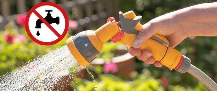 Water Ban: How To Keep Your Garden Growing