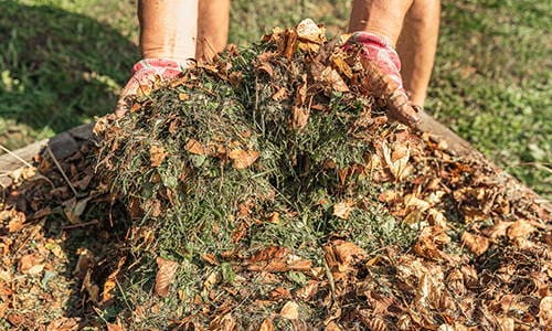 According To Real Homesteaders, You Should Do This Before Autumn Ends