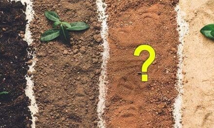 How To Choose The Best Plants For Your Soil Type