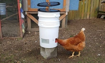 35 Ingenious Uses For Buckets - Self Sufficient Projects