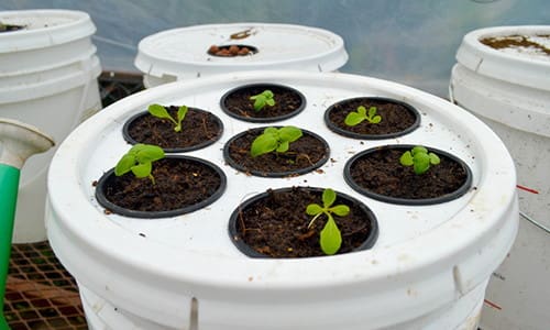 ingenious uses for buckets