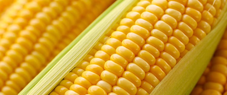 Corn