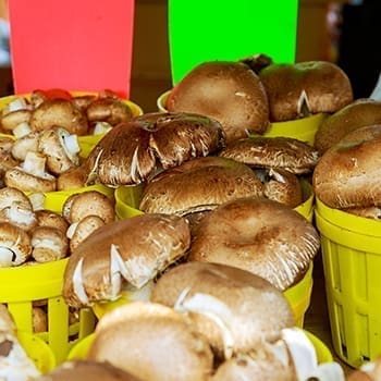 How To Make A Full Income On Your Homestead