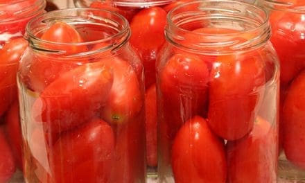 Tomato Preservation Recipes